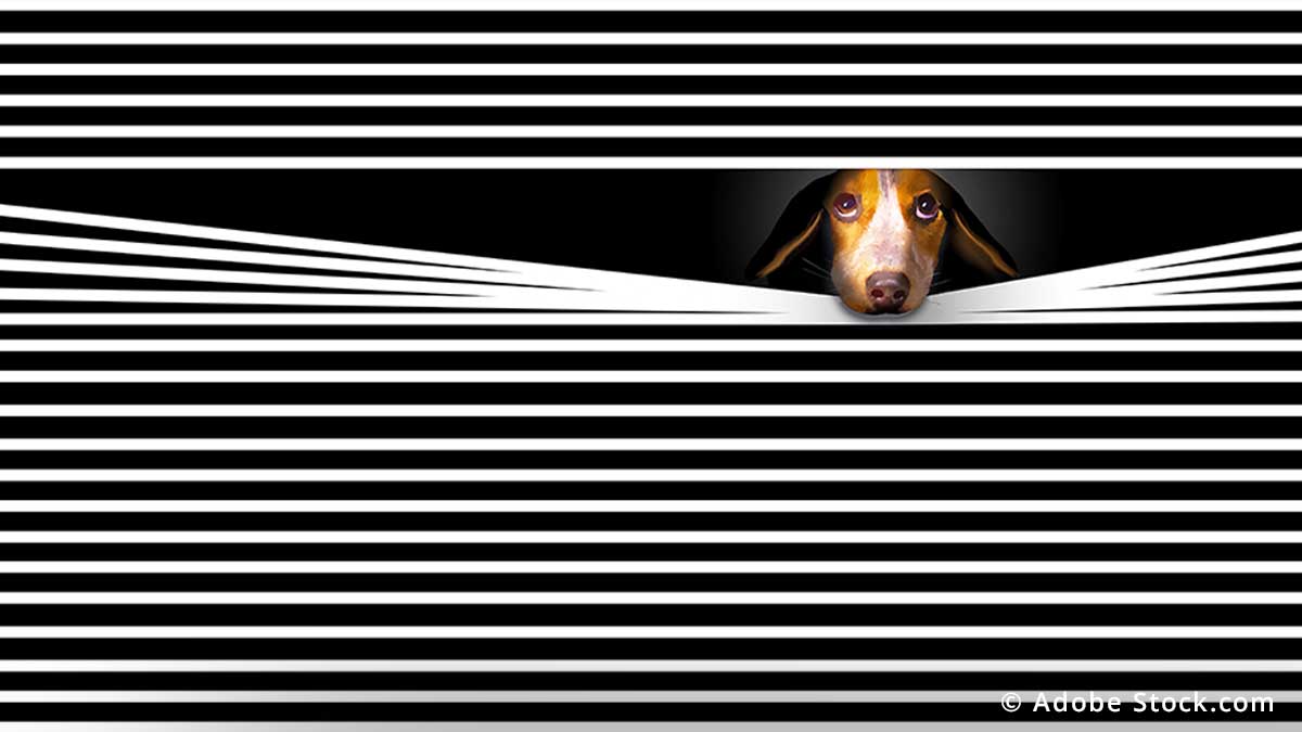 Ihr Meisterbetrieb in Bottrop für Rollläden, Markisen, Fenster, Garagentore, Türen und Smart-Home-Technik Ihr Meisterbetrieb in Bottrop für Rollläden, Markisen, Fenster, Garagentore, Türen und Smart-Home-Technik